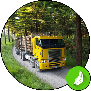 Brennstoff Holz - Abtransport im wirtschaftlich genutztem Wald