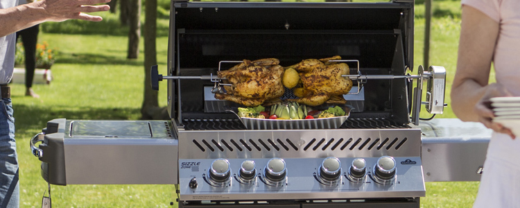 Gans auf dem Rotisserie-Spieß