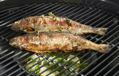 Titelbild Forelle grillen