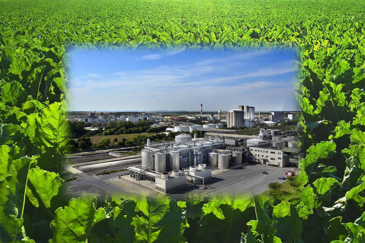 Titelbild für Beitrag zum Thema Fakten Bioethanol