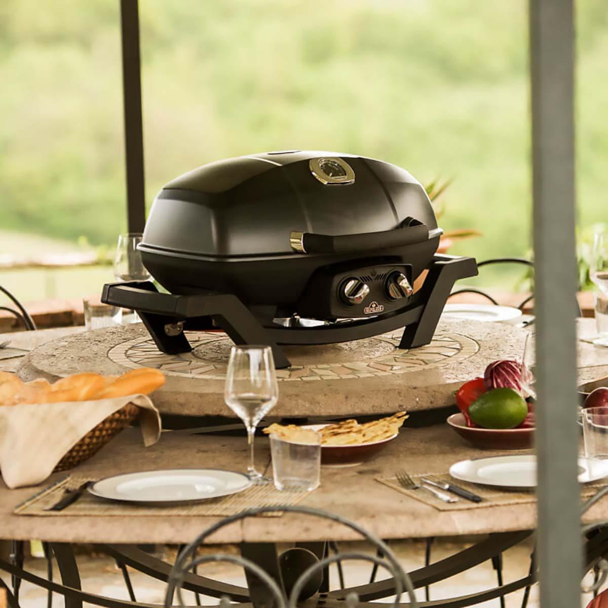 B-Ware - Gasgrill Napoleon TravelQ PRO285 Set inkl. Abdeckhaube, Grillplatte und Warmhalterost