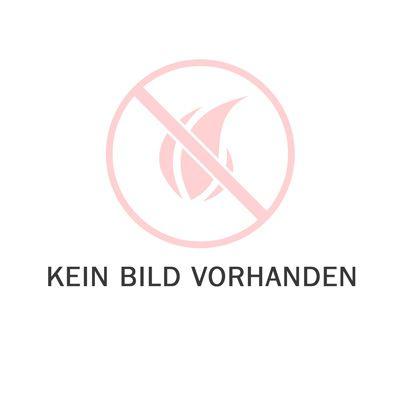 Sichtscheibe Wamsler Kaminofen (111843)