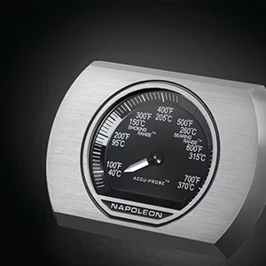 ACCU-PROBE Thermometer