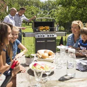 Napoleon Rogue mit Heckbrenner