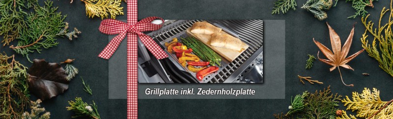 https://www.ofen.de/grillzubehoer-grillplatte-inkl.-zedernholzplatte-napoleon