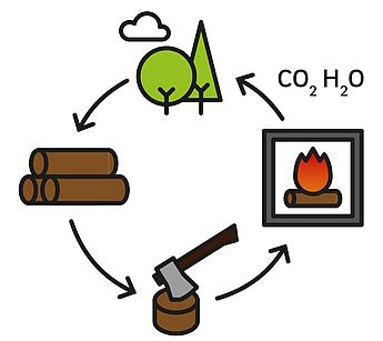 Wirkung von Holz Schmid Wirkung von Holz
