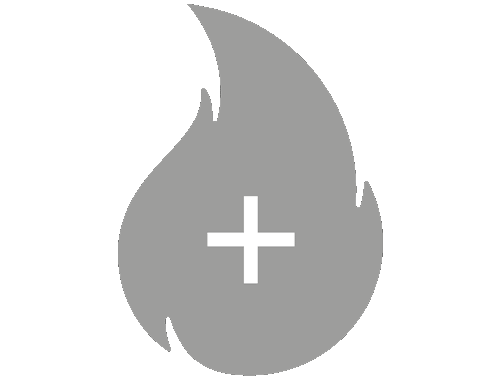 Logo Exzellente Verbrennung