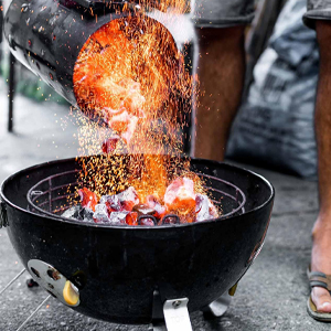 Anzündkamin von ProQ