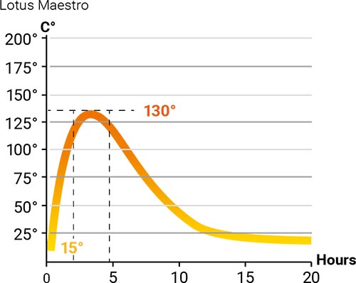 Lotus Maestro Diagramm