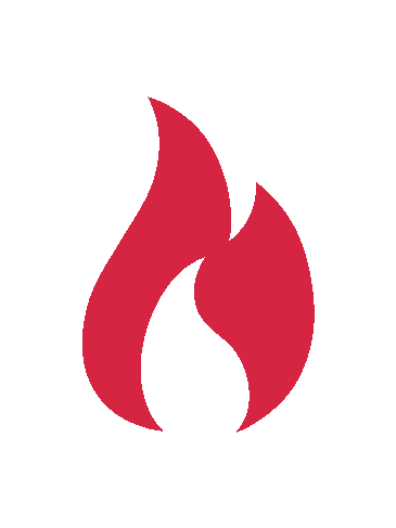 Glen Dimplex Logo Flammeneffekt
