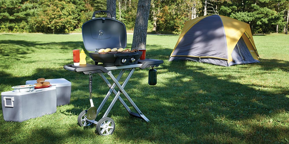 Camping Grill Napoleon TravelQ TQ285X