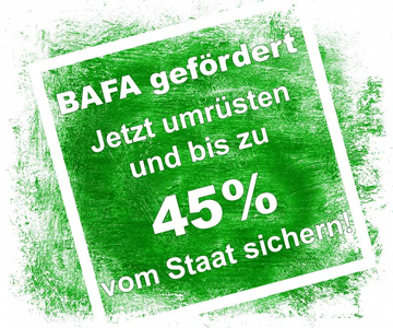 BAFA Förderung vom Staat