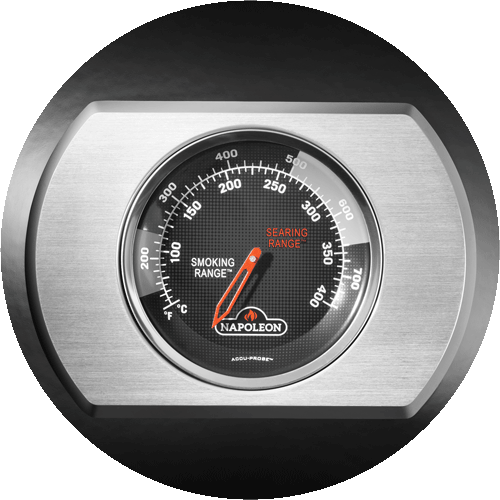Napoleon ACCU-PROBE™ Thermometer